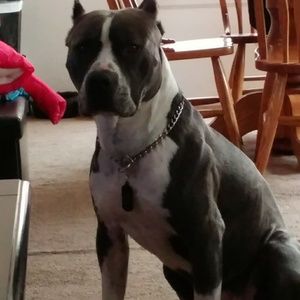 Meet your Posher, Deanna