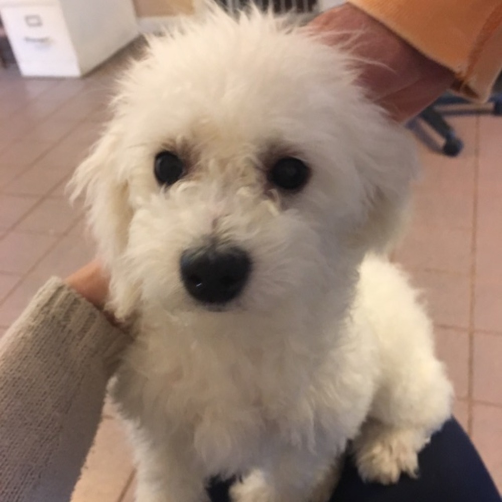 Meet your Posher, Joanna