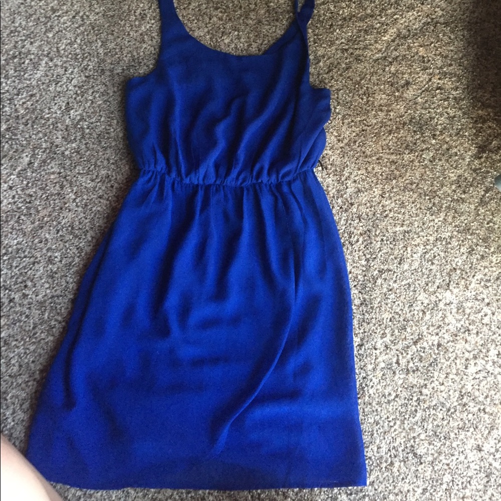 Prefect for easter 🐣