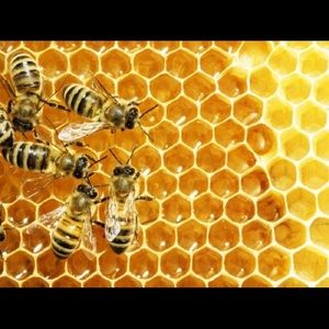 Meet your Posher, Becky