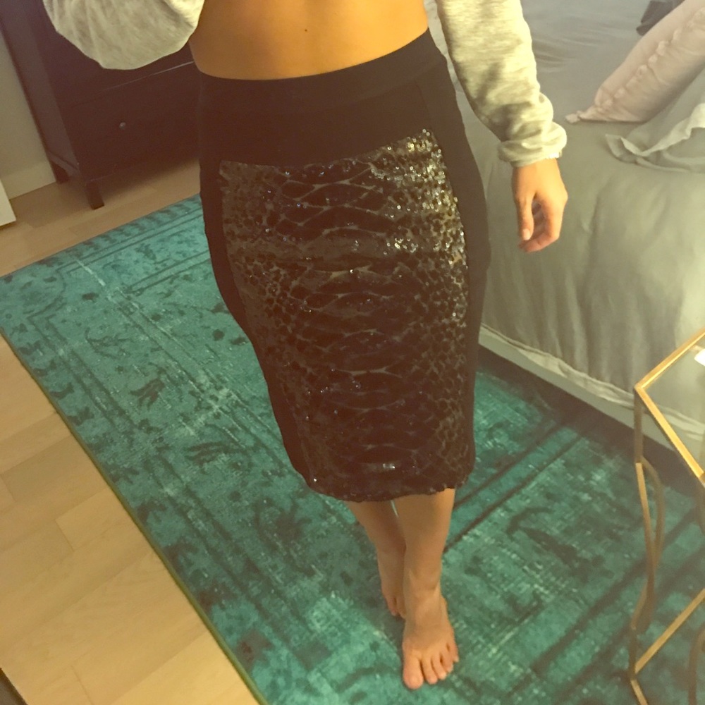 BCBG Maxazria Sequin Skirt