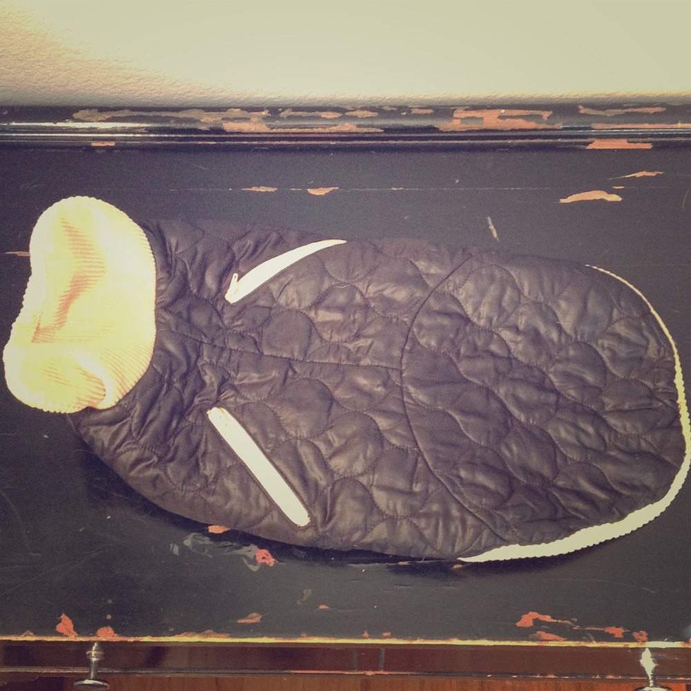 Doggie cold weather vest