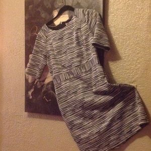 Ann Taylor Loft Knit Dress