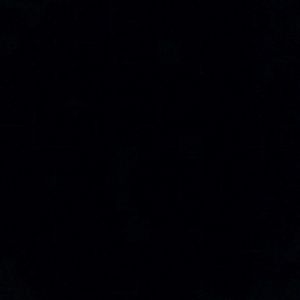 Meet your Posher, Cody