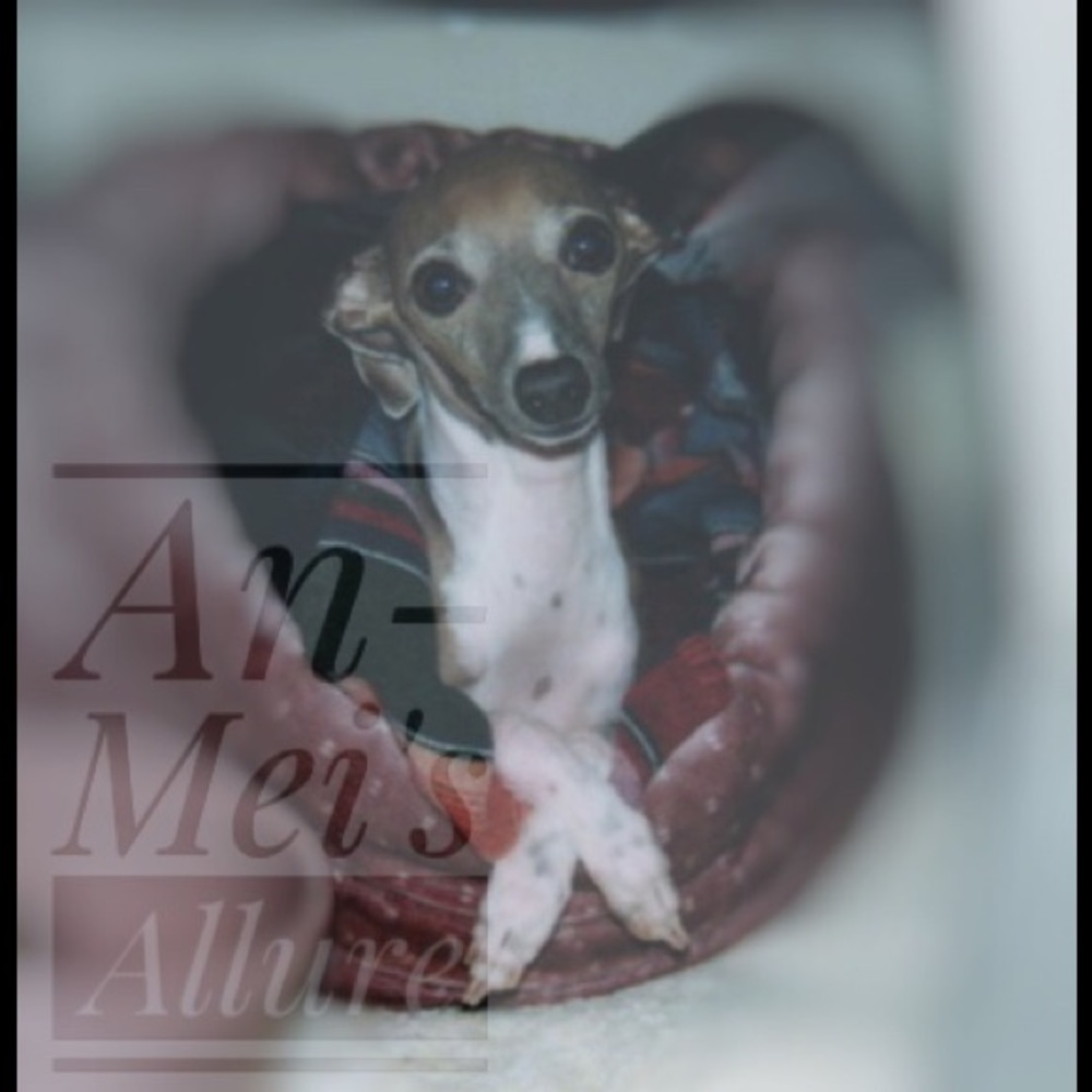 Meet your Posher, Frances