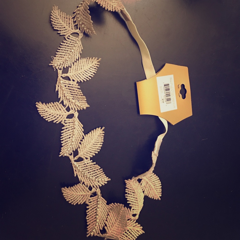 Gorgeous feather head band