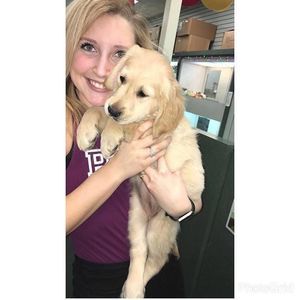 Meet your Posher, Alexanderia