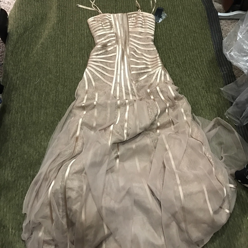 Prom dress or wedding dress