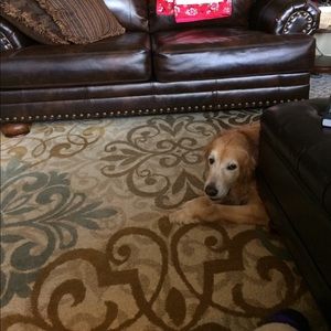 Meet your Posher, Lacie