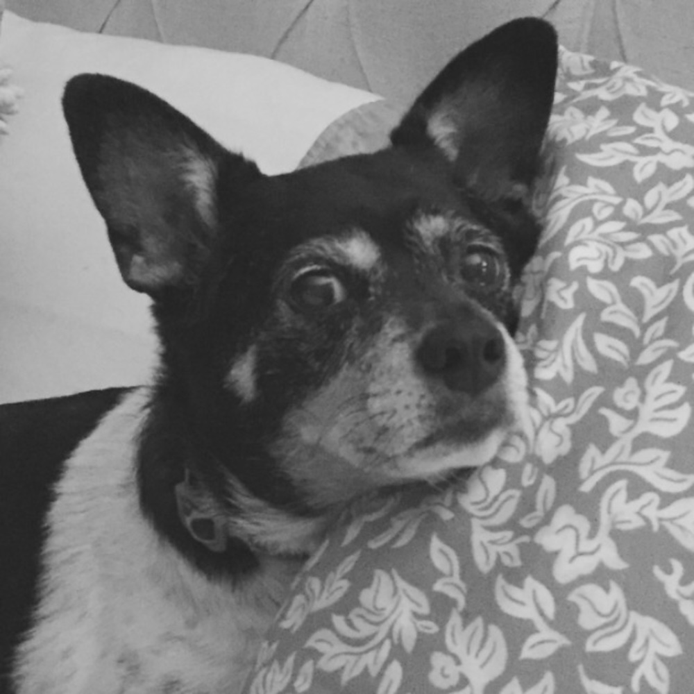 Meet your Posher, Ashton