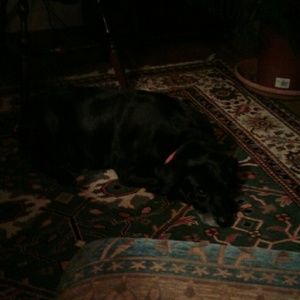 Meet your Posher, Diane