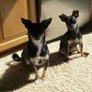 Meet your Posher, Tiffany