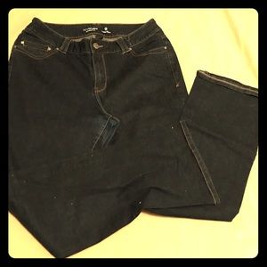 Slim Biot Cut Genius Fit Jeans by Lane Bryant