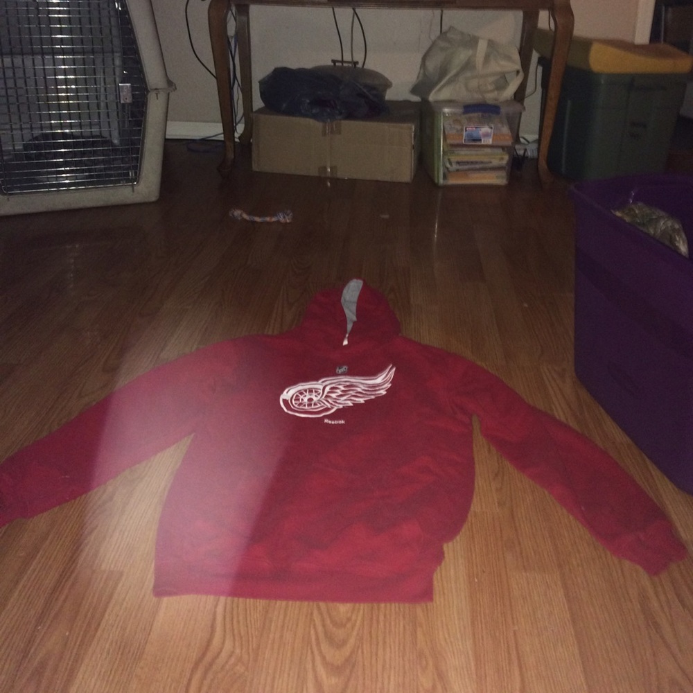 Unisex adult Detroit Redwings sweatshirt