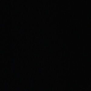 Meet your Posher, Gus