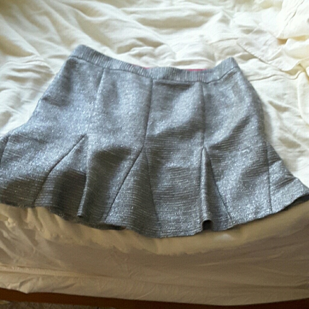 Silver fit and flare skirt
