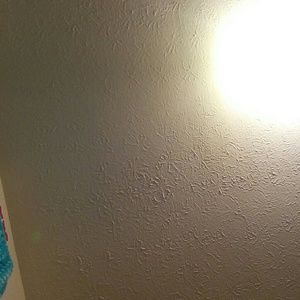 Meet your Posher, Lilly