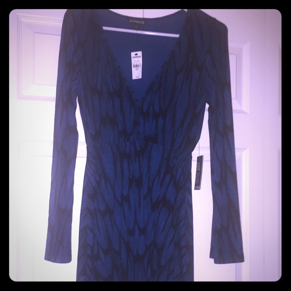 Express Brand Dress NWT