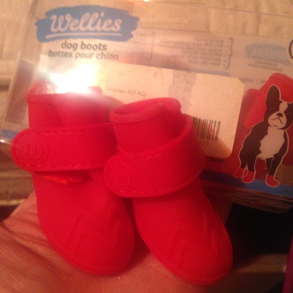 Little wellies XS NWT