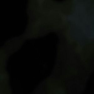 Meet your Posher, Frances