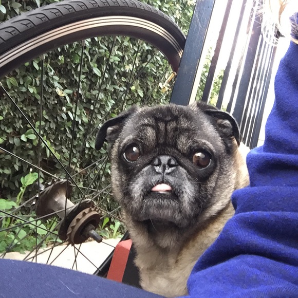 Meet your Posher, Marcus - Picture 1 of 1