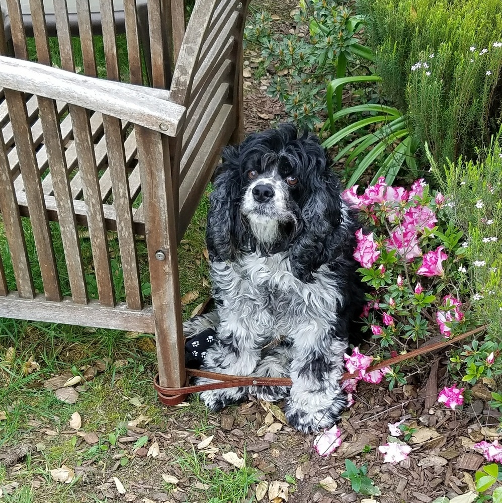 Meet your Posher, Jill