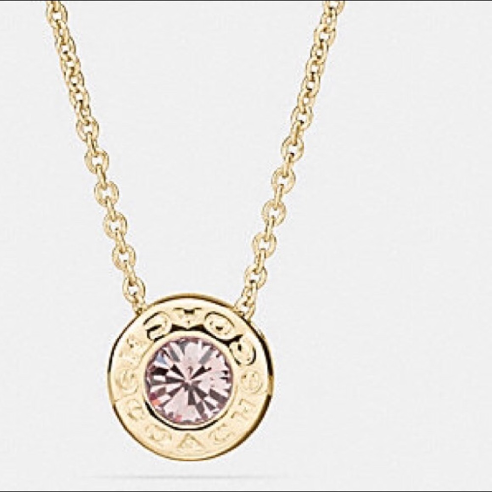 🆕COACH. Open Circle Stone Necklace - Picture 2 of 3