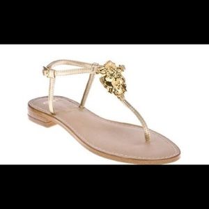 Miss Trish of Capri Lion Sandal