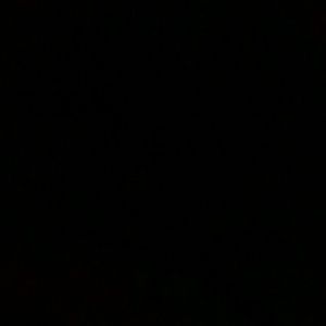 Meet your Posher, Dylan