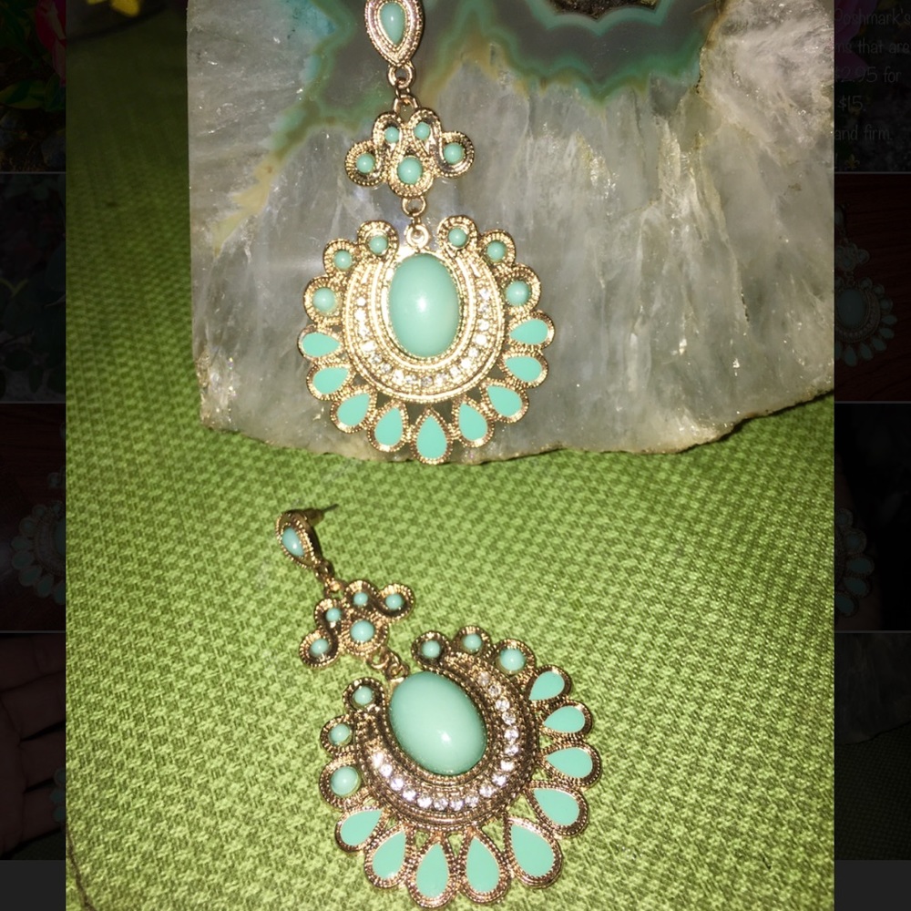 Earrings (never worn)