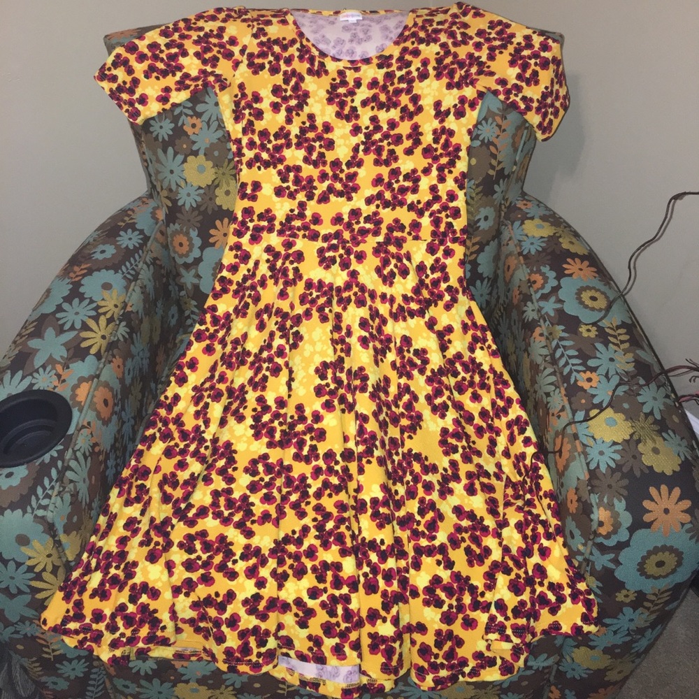 Lularoe Nicole! Worn once!