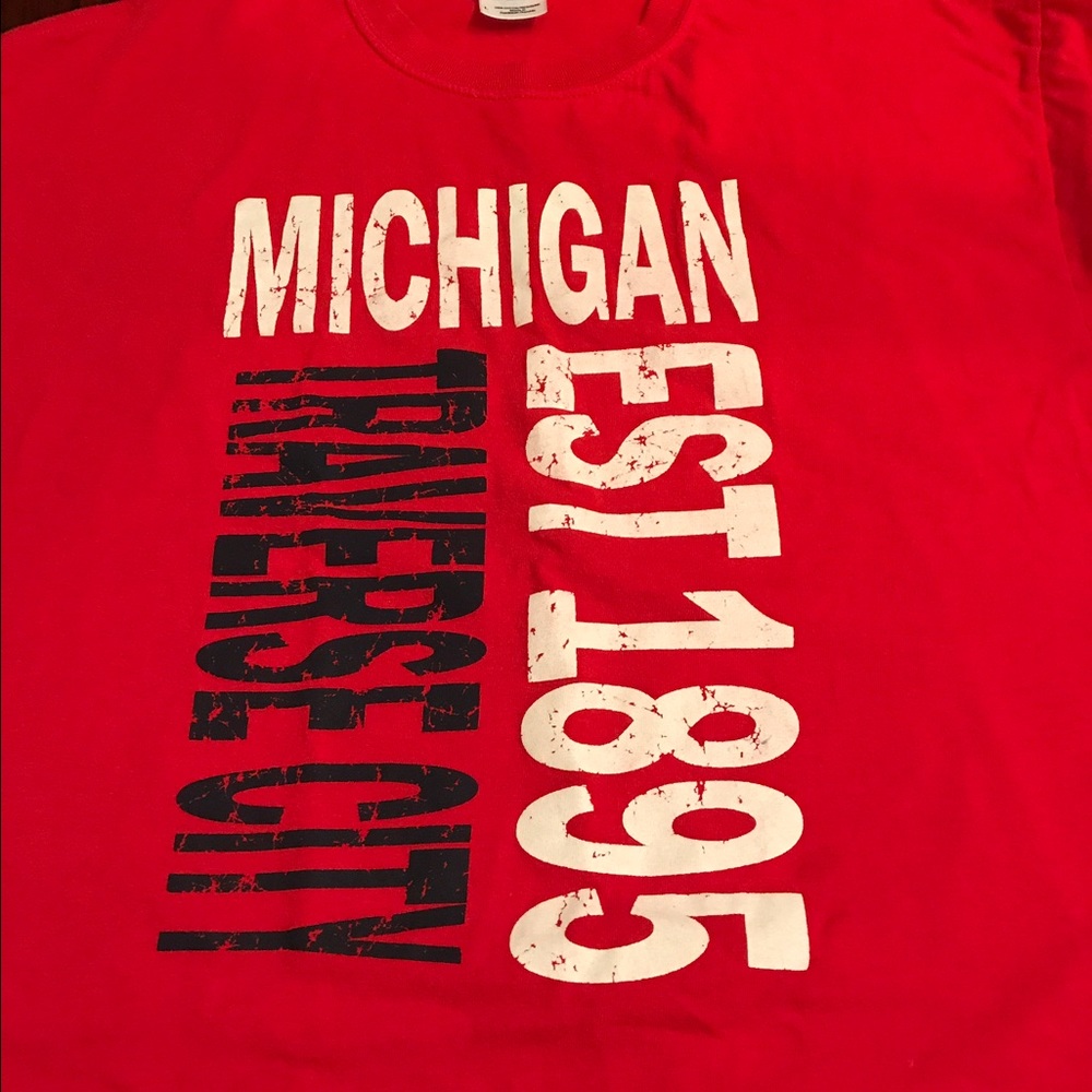 Michigan Tee men s Large.Firm Price - Picture 2 of 4