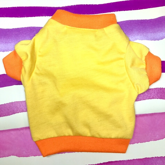 🐶Dog's little sweater in size XS🐕 - Picture 2 of 6