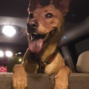 Meet your Posher, Tyler