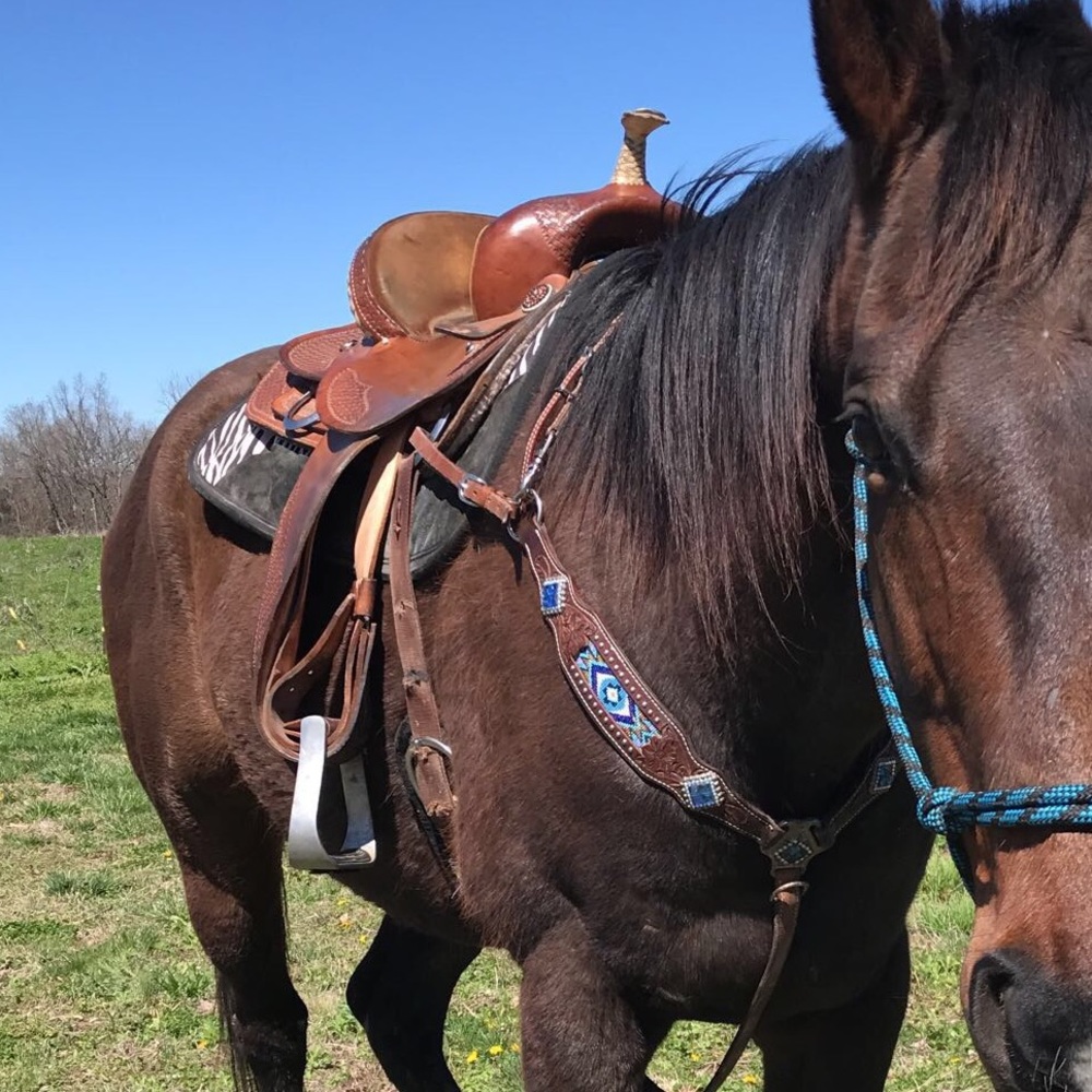 16 inch Dakota saddle