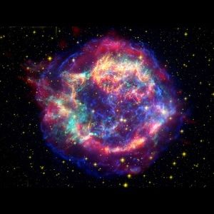 Meet your Posher, Adrian