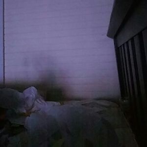 Meet your Posher, Pat