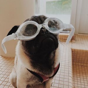 Meet your Posher, Drew