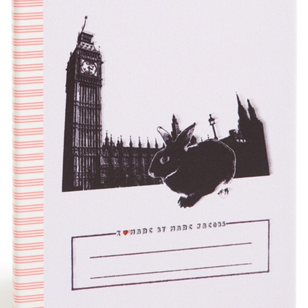 ipad air case "RABBIT"