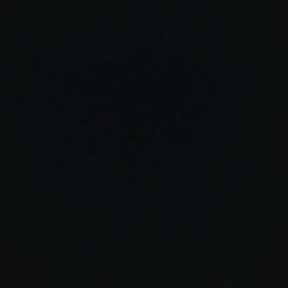 Meet your Posher, Elyse