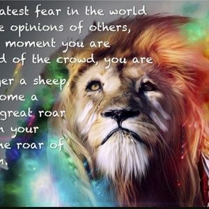 Meet your Posher, Romy