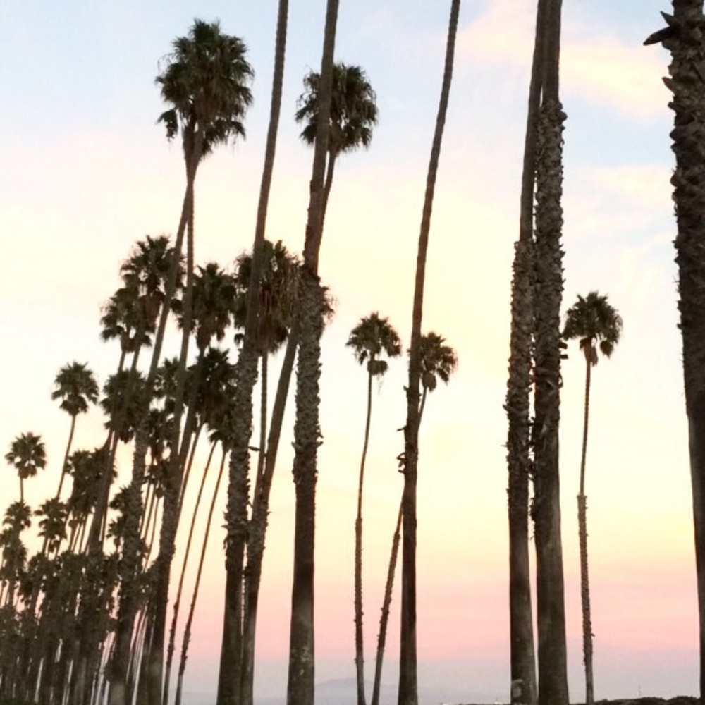 Meet your Posher, Daniela