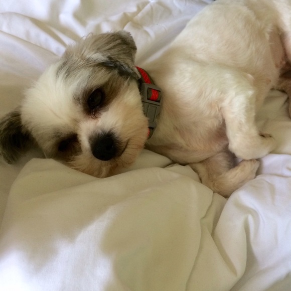 Meet your Posher, Daniela - Picture 2 of 3