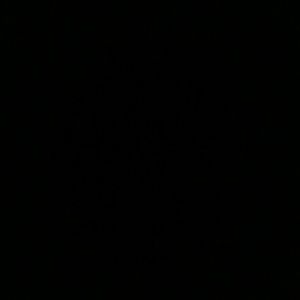 Meet your Posher, Kay