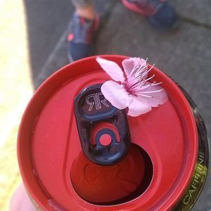 Meet your Posher, Abbigale