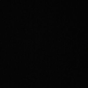 Meet your Posher, Daisy