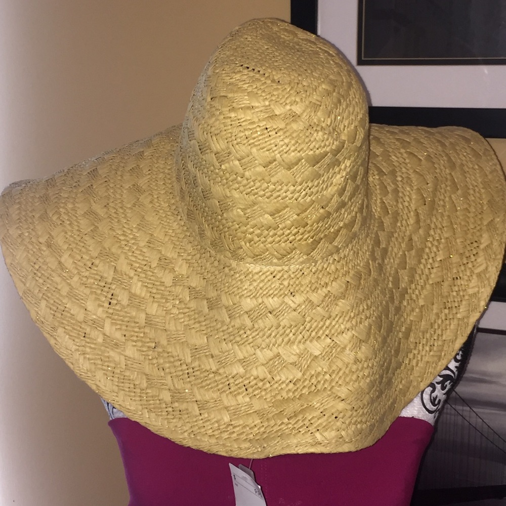 Wide Brim H&M Straw Hat