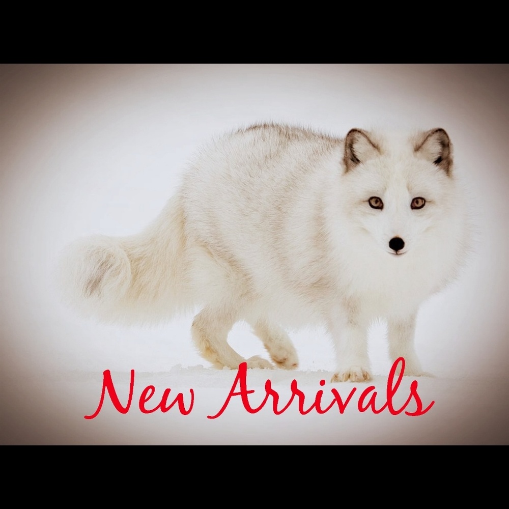 PLEASE READ! SEE WHAT'S NEW IN THE FOX DEN!!