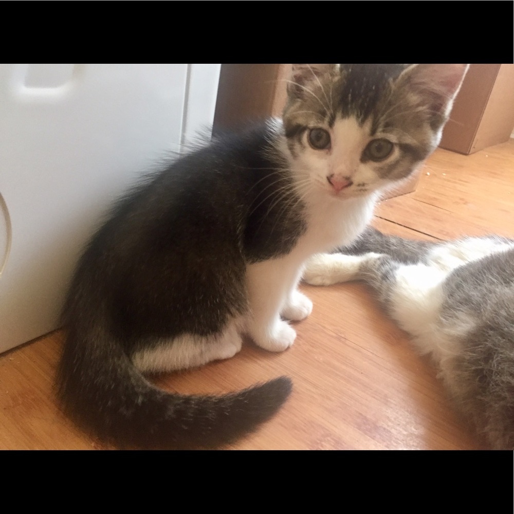 Meet your Posher, Joanna