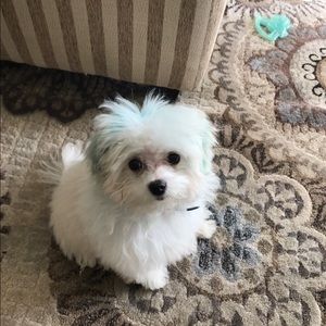 Meet your Posher, Yohance